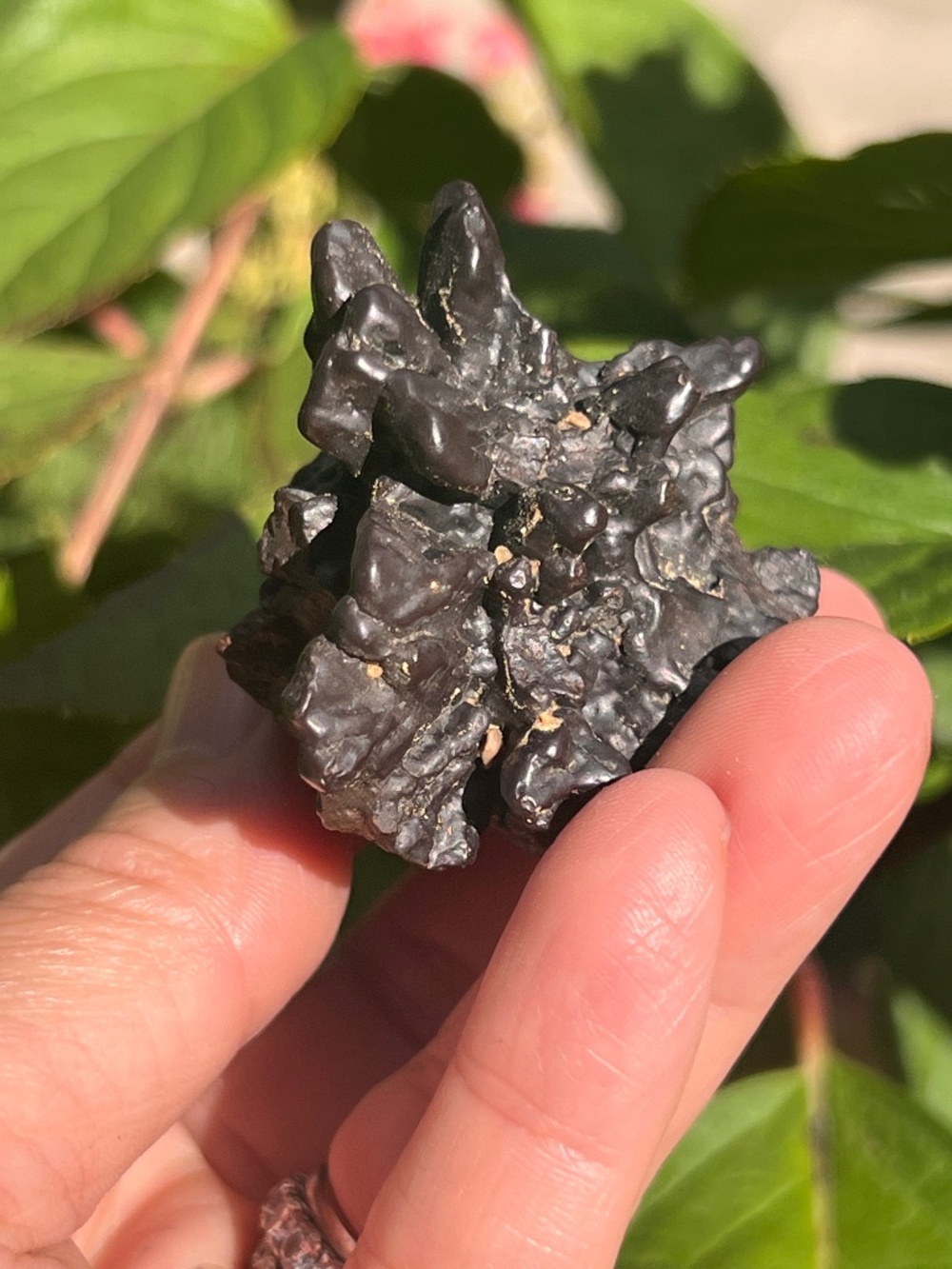 Prophecy (12) stone | crystal